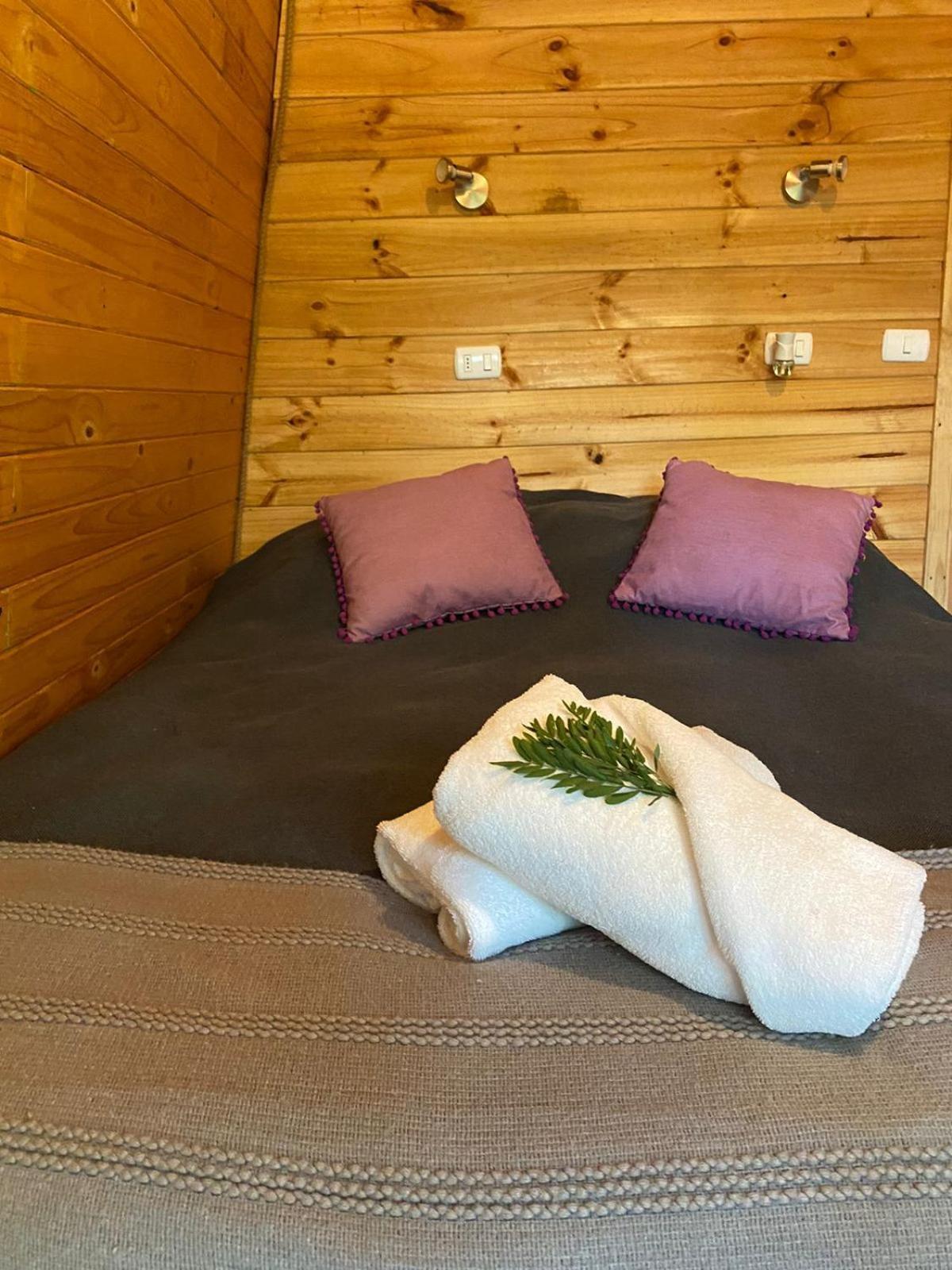Campsite Huequecura Explorer *